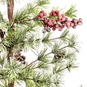 Winter Berry Bristle Tree in Hessian with Berries