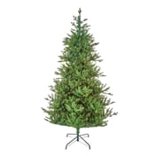 Cotswold-Spruce-Christmas-Tree