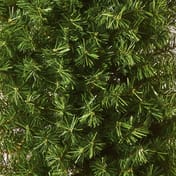 Cresant Moon Realistic Artificial Christmas Tree 1.2m