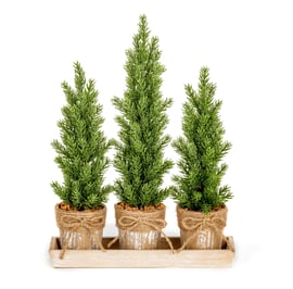 Set of 3 Small Potted Christmas Trees