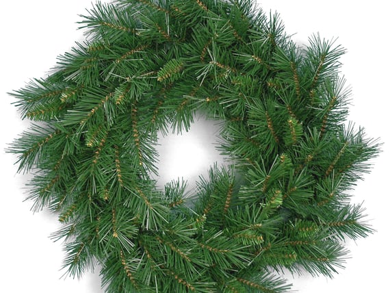 Blenheim Pine Christmas Wreath 60inch