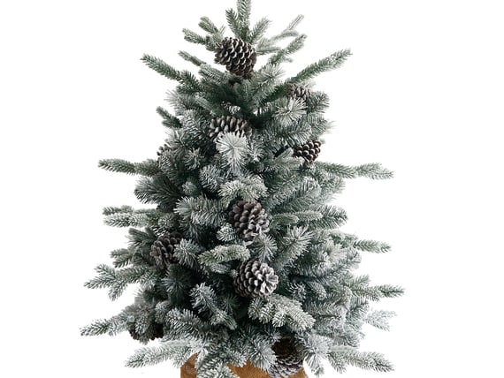 Snow Dusted Pre Lit Christmas Tree 4ft