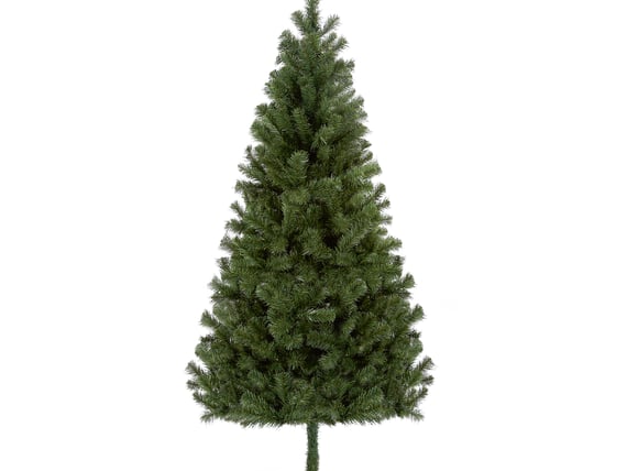 Lakeland Fir Christmas Tree 8ft