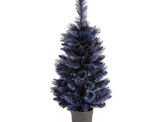 Midnight Frost Potted Fir Christmas Tree